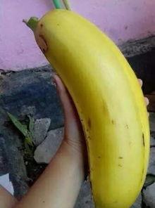 大香蕉国产情侣,甜蜜瞬间,浪漫时光